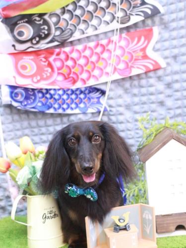 20230502小太郎くん